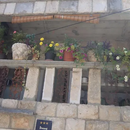 ゲストハウス The Palm